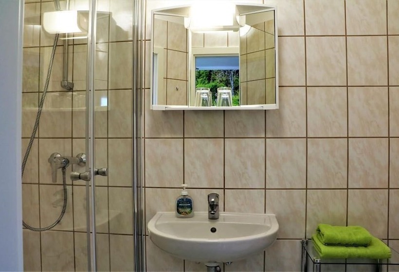 Cameră Standard Individuală, Pension Jung