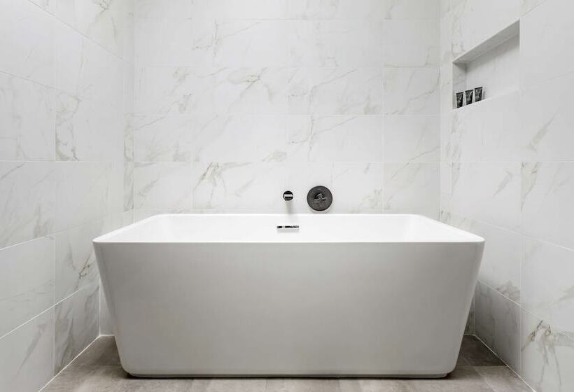 جناح, Hyatt Centric Mountain View