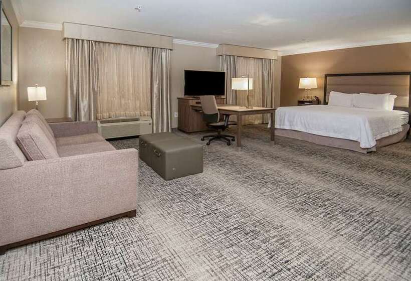 Номер Стандарт, Hampton Inn & Suites Saraland Mobile