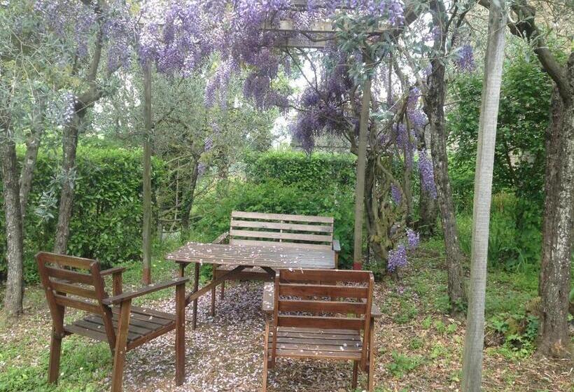 带1个卧室的公寓, Castello Di Pratelli