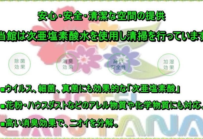 스위트, Lantana Osaka