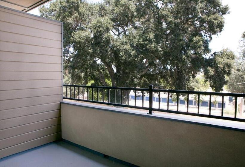 اتاق استاندارد با تخت بزرگ, Siri Downtown  Paso Robles