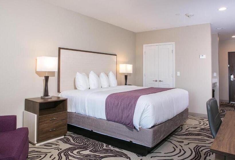 Стандартный Номер Кровать Кинг, Siri Downtown  Paso Robles