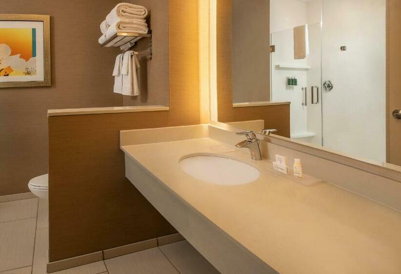 Номер Стандарт, Fairfield Inn & Suites By Marriott Harrisburg International Airport