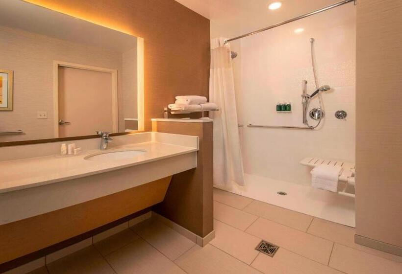 Стандартный Номер Кровать Кинг, Fairfield Inn & Suites By Marriott Harrisburg International Airport