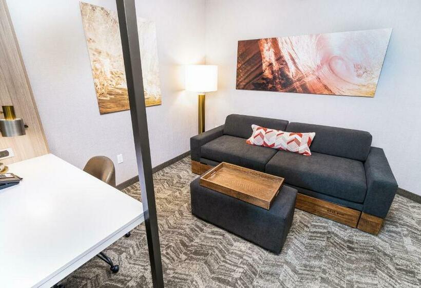 스위트, Springhill Suites By Marriott Ontario Airport/rancho Cucamonga
