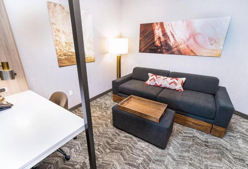 스위트, Springhill Suites By Marriott Ontario Airport/rancho Cucamonga