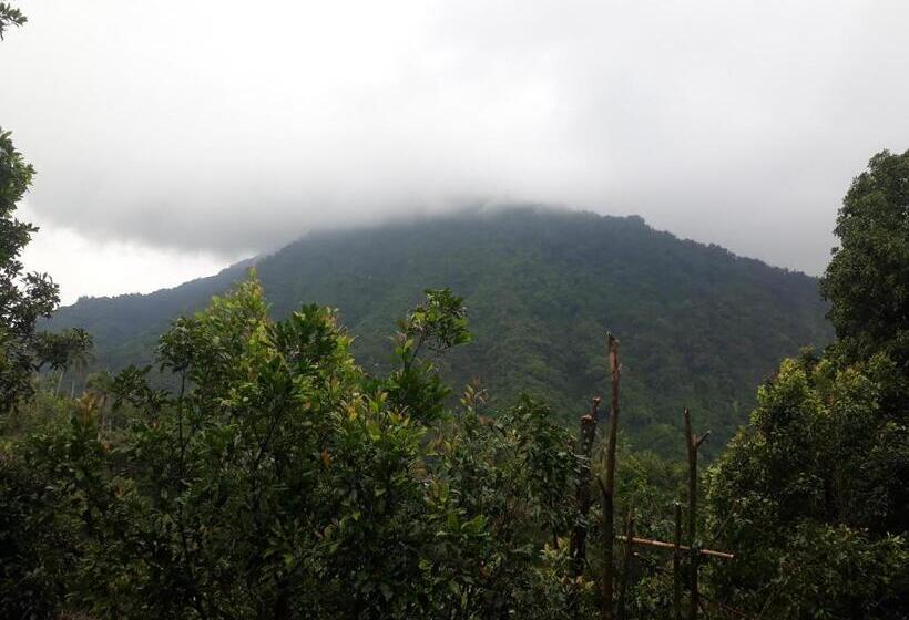 Номер Стандарт с Террасой, Sugi Gede Homestay