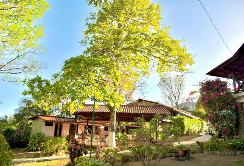 Бунгало Стандарт, La Qhia Eco Retreat