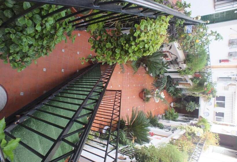 标准单人间, Hostal El Patio