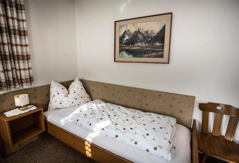 Апартаменты 1 Спальня с Видом, Residence Rienz