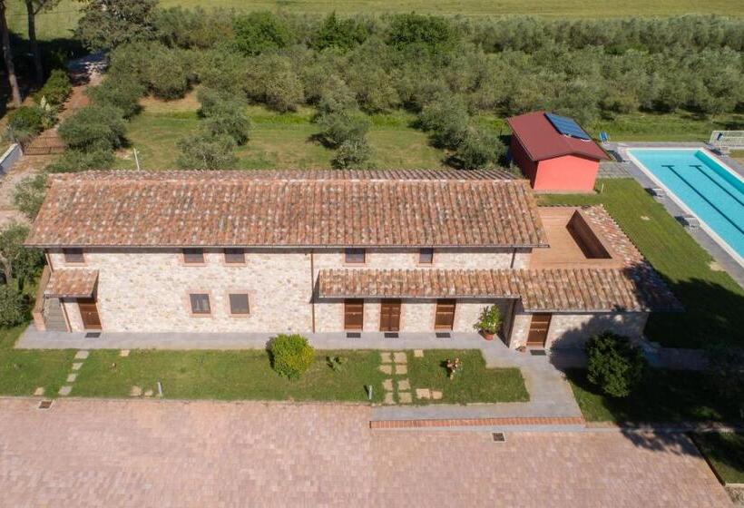آپارتمان سوپریور 1 خوابه, Lagolivo