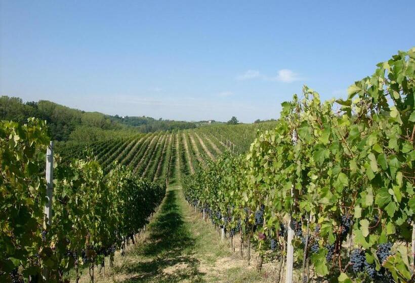 スタンダードシングルルーム, Marchesi Incisa Winery Lodge