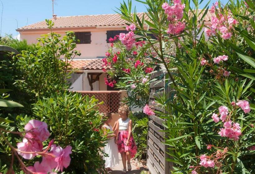 Апартаменты 1 Спальня, Résidence Goélia Sun Village
