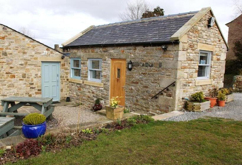 Апартаменты 1 Спальня, Micro Barn Mickleton Barnard Castle
