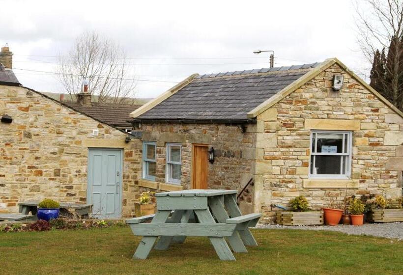 Апартаменты 1 Спальня, Micro Barn Mickleton Barnard Castle