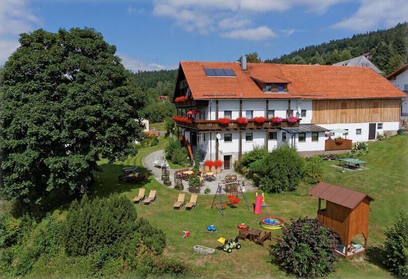 Номер Стандарт, Pension Draxlerhof