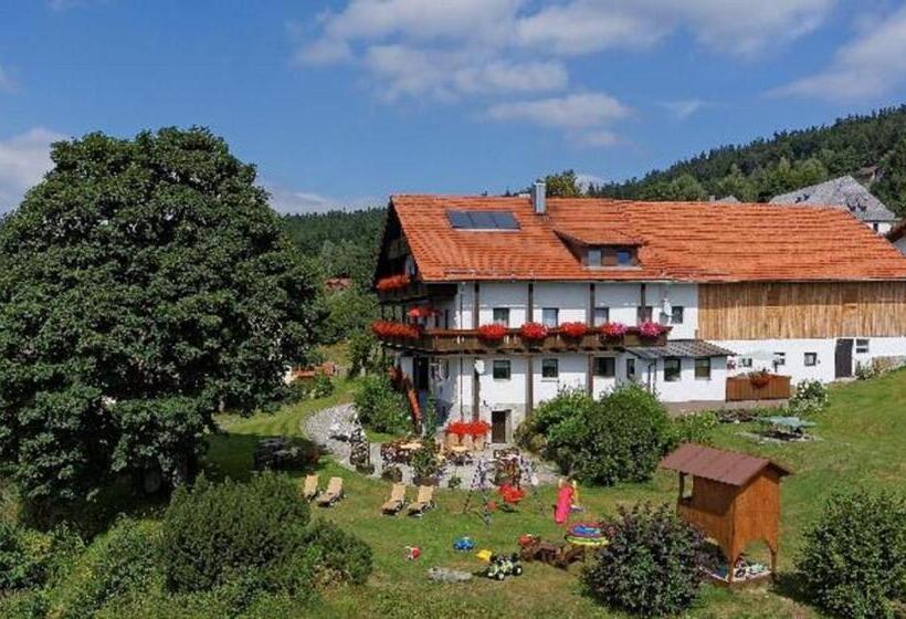 Номер Стандарт, Pension Draxlerhof