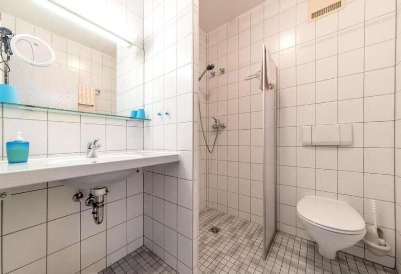 标准单人间, Pension Gästehaus Birgit