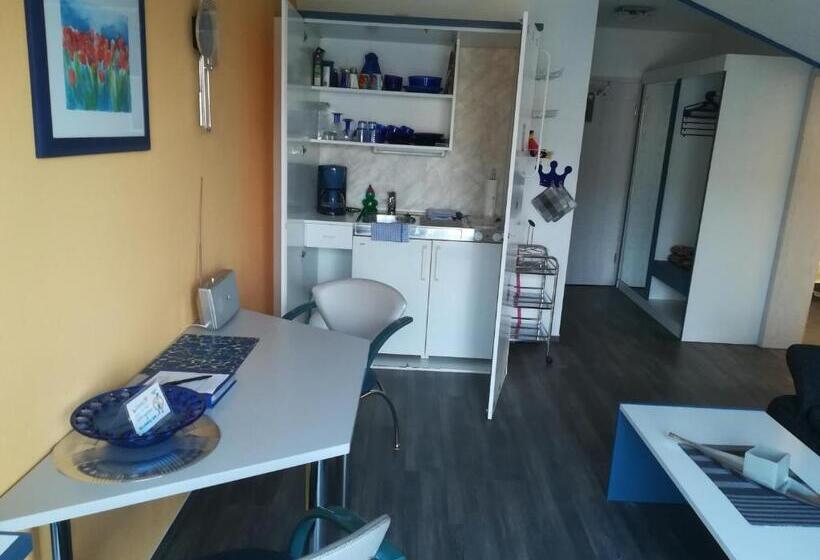 带1个卧室的公寓, Pension Gästehaus Birgit