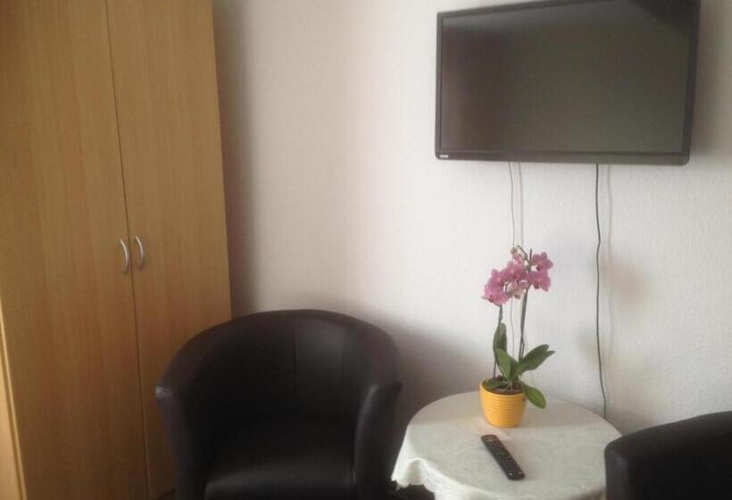 스탠다드 룸, Gasthof & Pension Zum Saalestrand