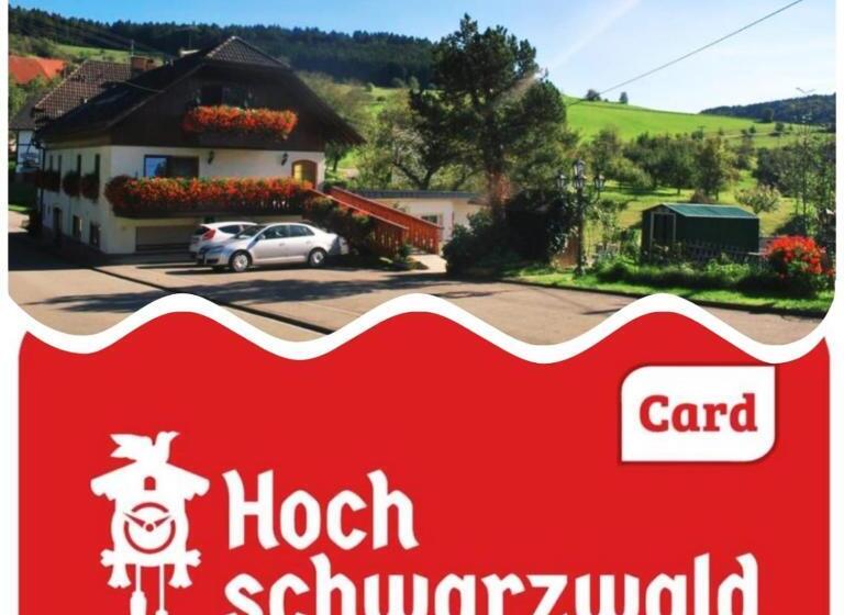 스탠다드 싱글 룸, Landgasthof Hirschen Untermettingen