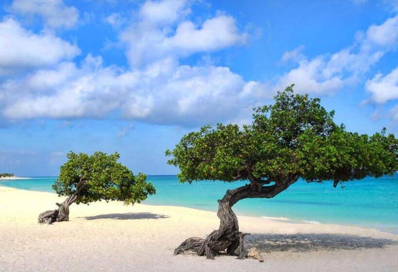 استودیوی لوکس, Buddha Studios Aruba
