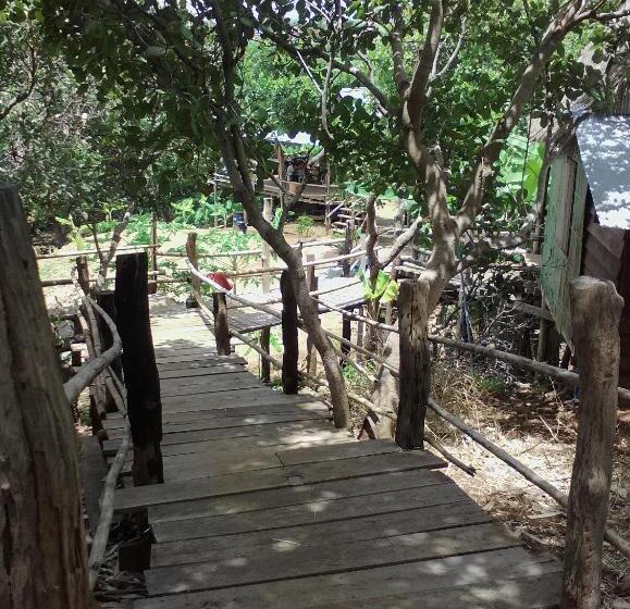 标准间, Tree Lodge Banlung