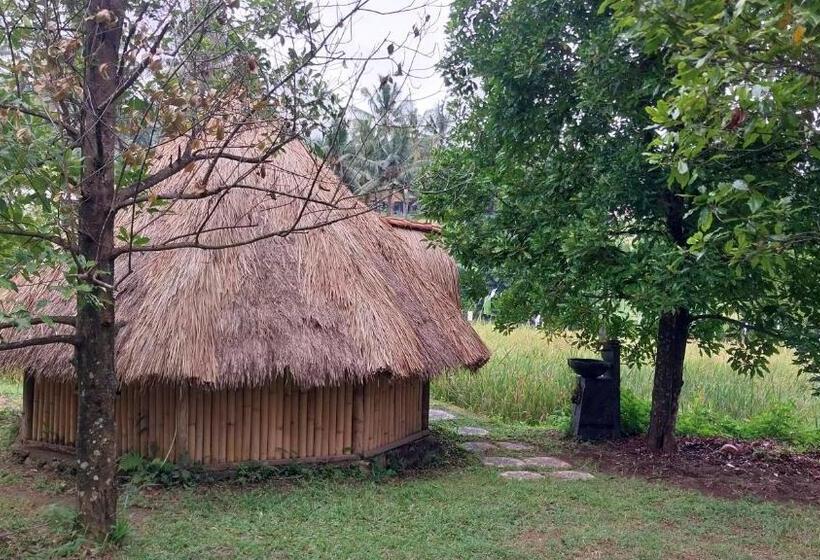 Standard Tent, Uma Nirmala Aling Aling