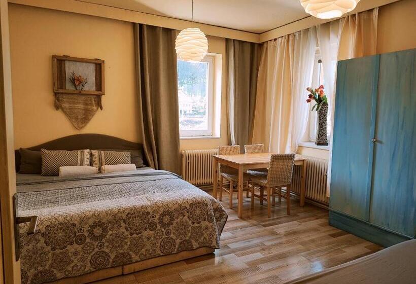 Люкс Вид на Реку, Penzion Přívoz