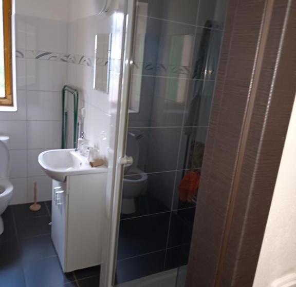 اتاق استاندارد یک نفره, Vila Pavlínka , Apartmány Losiny