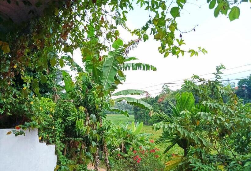 اتاق استاندارد با چشم‌انداز باغ, Green View Guest
