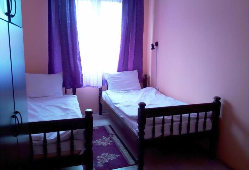 اتاق استاندارد با سرویس بهداشتی مشترک, Villa Vlasta