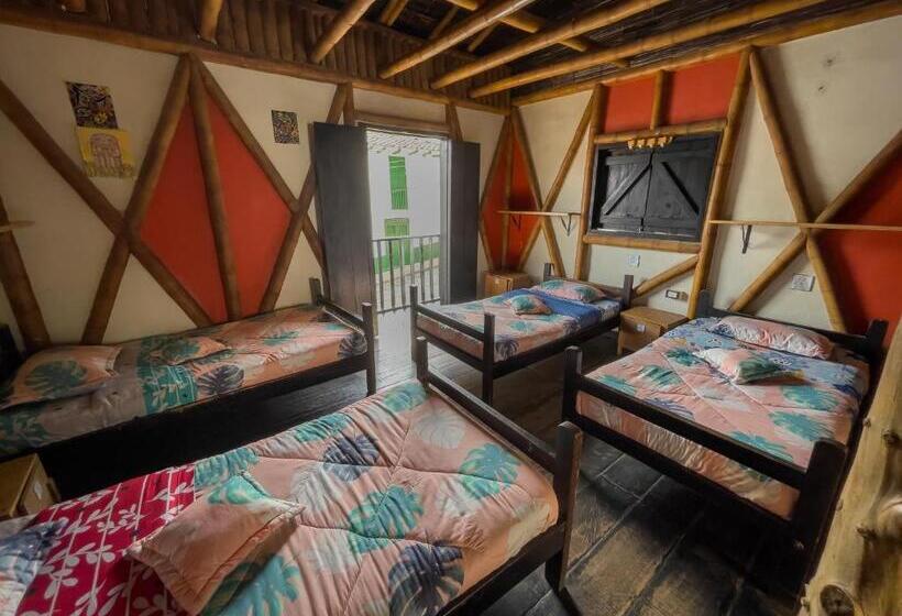 تختخواب در اتاق مشترک, Hostal Bambu