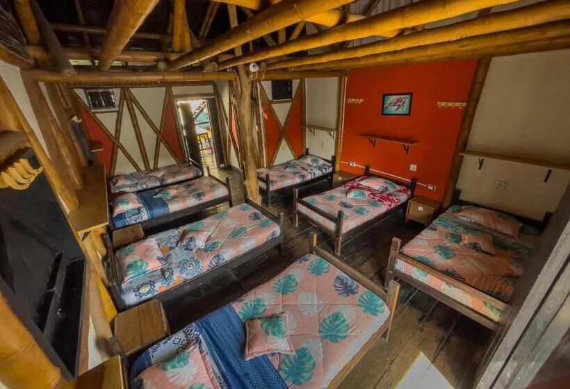 تختخواب در اتاق مشترک, Hostal Bambu
