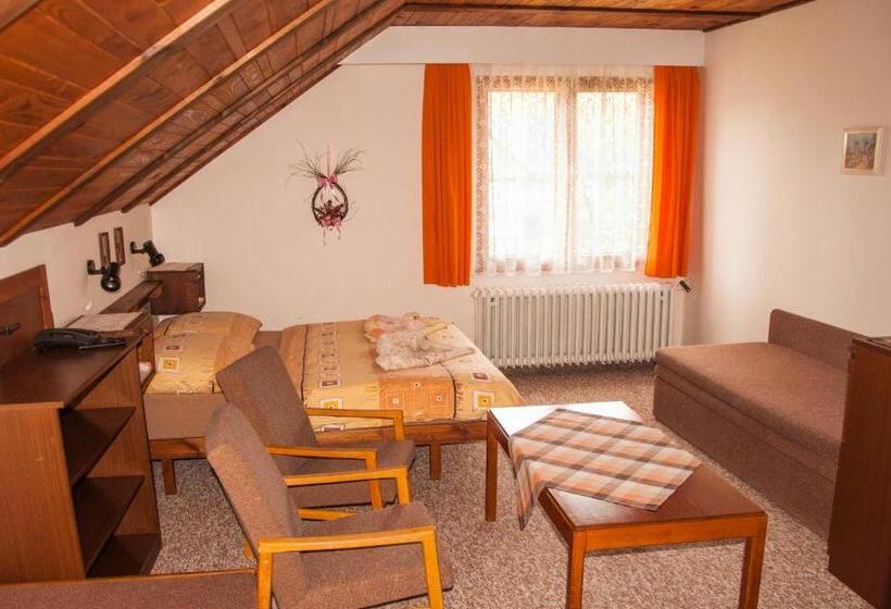 Номер Стандарт, Privát   Harrachov 392