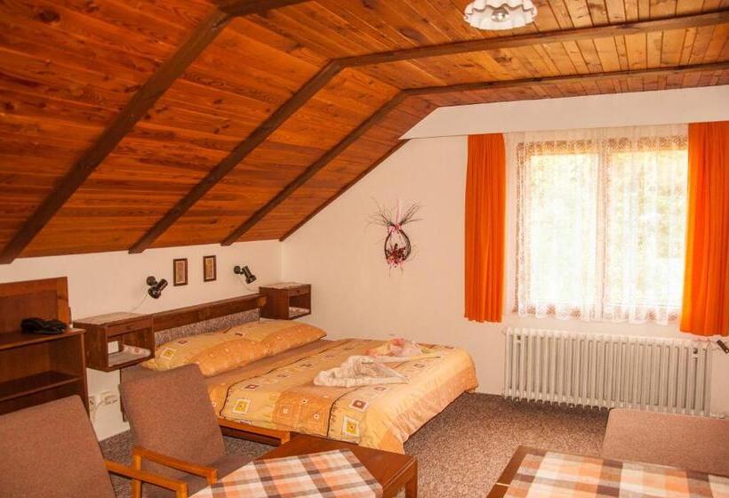 Номер Стандарт, Privát   Harrachov 392