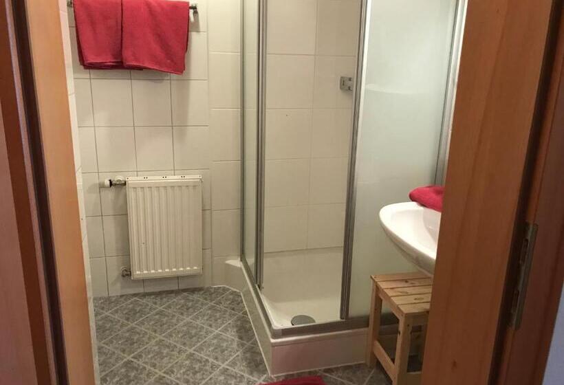 Номер Стандарт Индивидуальный, Pension Greimelbacherhof