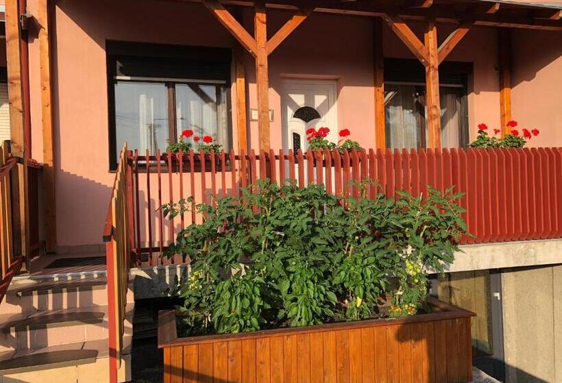 Студия Стандарт, Rt Home Vendégház