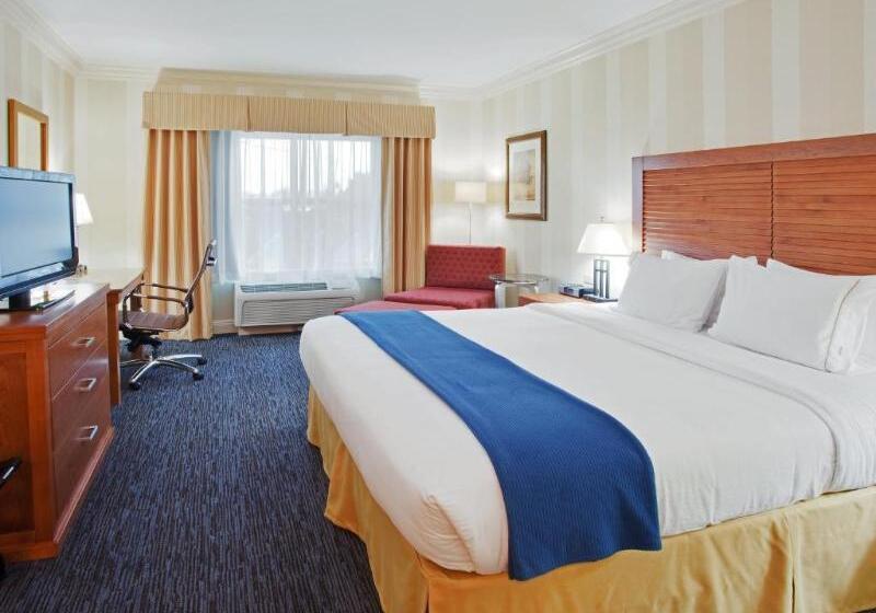 高级小型套房, Aparthotel Miami Park