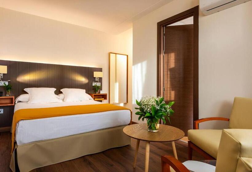 Habitación Estándar con Terraza, De Francia Y Paris