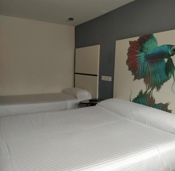 이코노이 4인룸, Hostal Mara