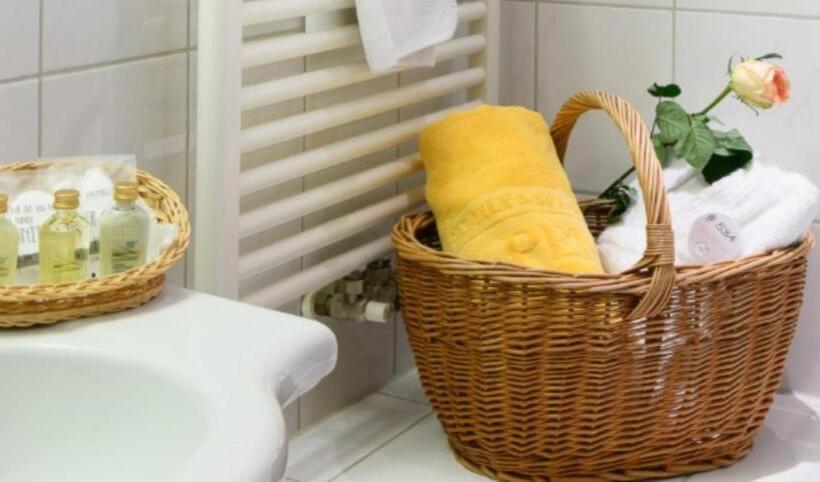 Номер Deluxe Одноместный, Wellnesshotel Schönruh   Adults Only