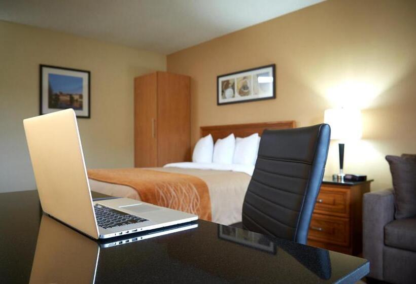 标准间, Comfort Inn