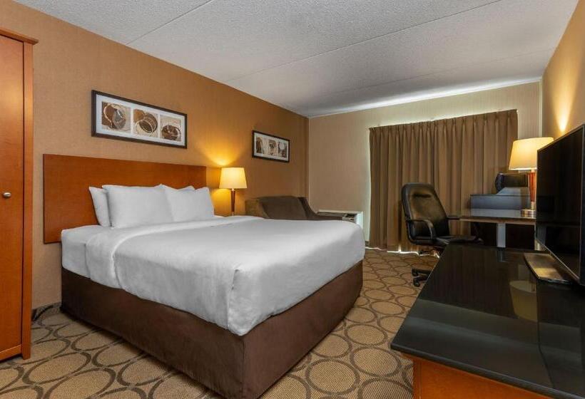 一楼标准间, Comfort Inn