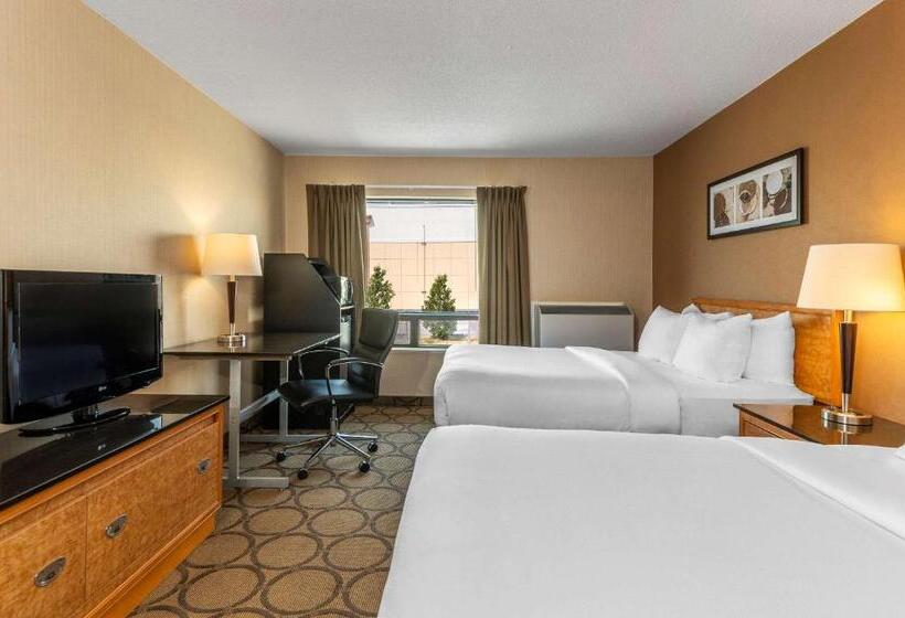 标准间, Comfort Inn