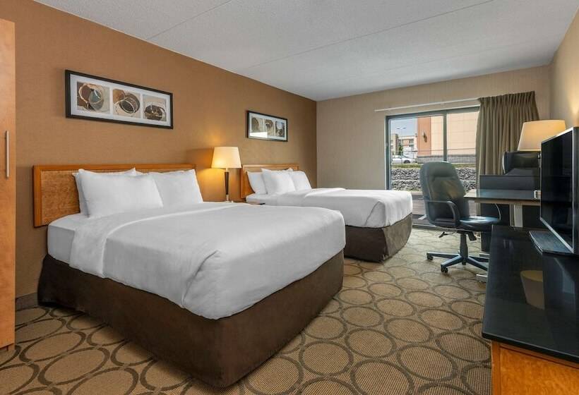 一楼标准间, Comfort Inn