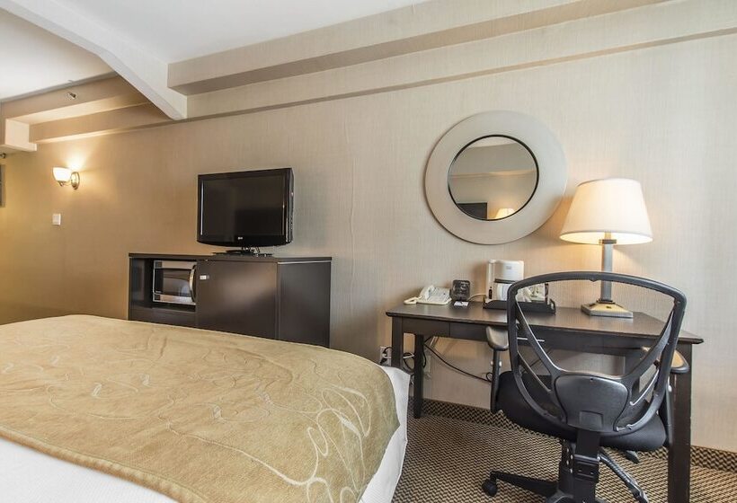 スタンダードルーム, Comfort Suites Downtown