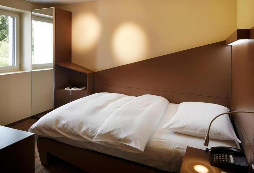 Номер Economy Индивидуальный, Campus Hotel Hertenstein