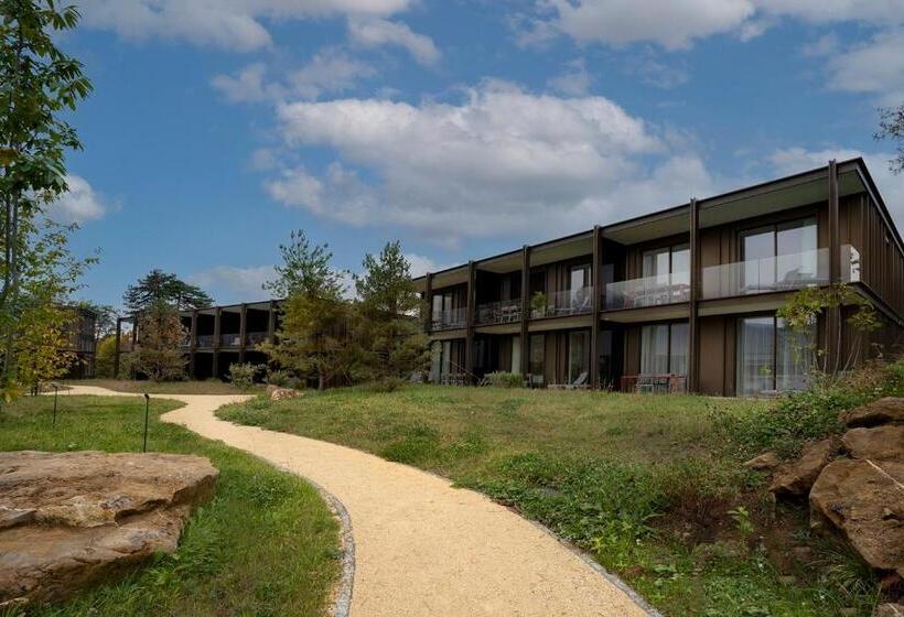 Апартаменты с 1 спальней, смежные, Campus Hotel Hertenstein
